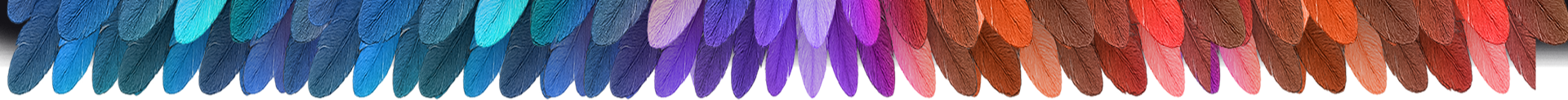 Header Plumas