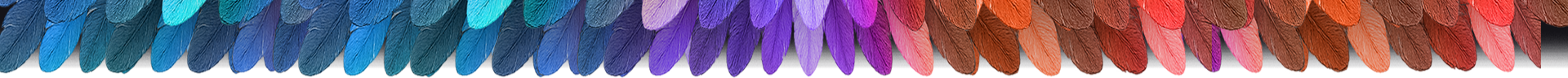 Header Plumas